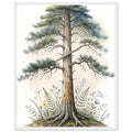 Deep Roots — Framed Print